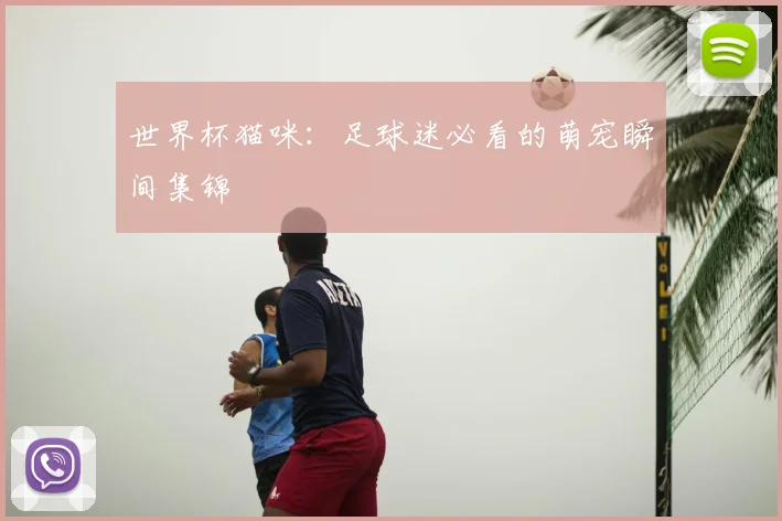 世界杯猫咪：足球迷必看的萌宠瞬间集锦