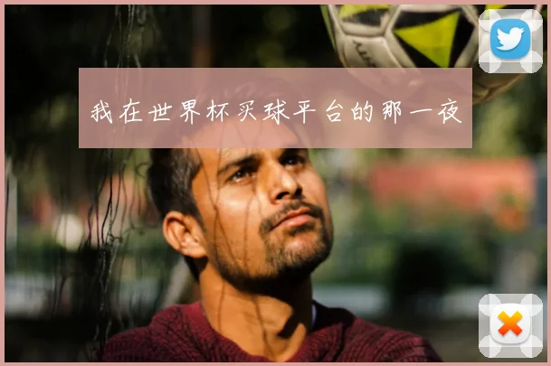 我在世界杯买球平台的那一夜