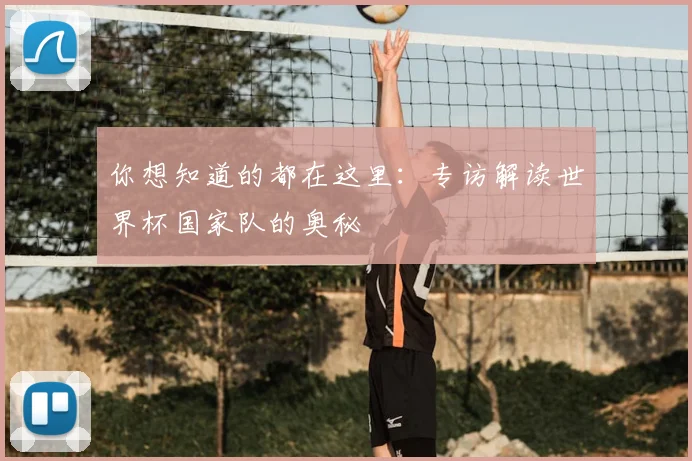 你想知道的都在这里：专访解读世界杯国家队的奥秘
