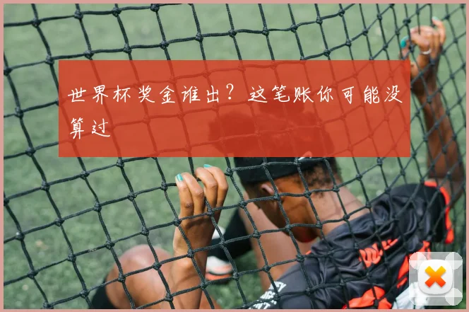 世界杯奖金谁出?这笔账你可能没算过