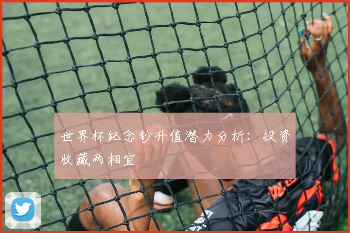 世界杯纪念钞升值潜力分析：投资收藏两相宜