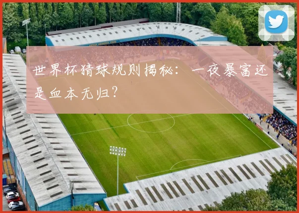 世界杯猜球规则揭秘：一夜暴富还是血本无归？