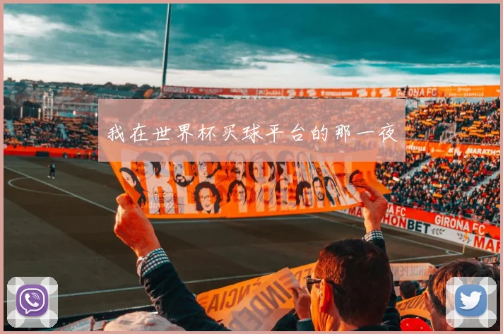 我在世界杯买球平台的那一夜