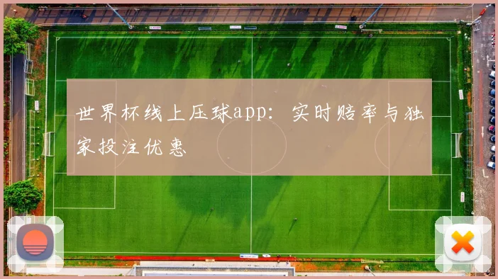 世界杯线上压球app：实时赔率与独家投注优惠
