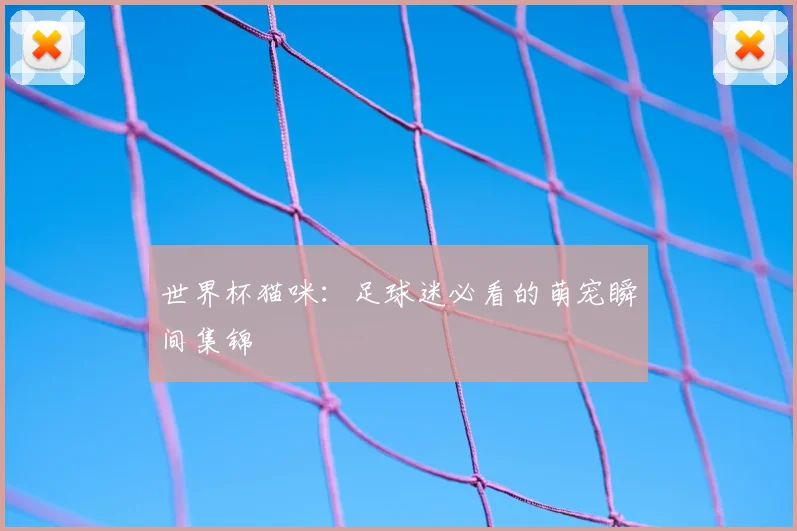 世界杯猫咪：足球迷必看的萌宠瞬间集锦