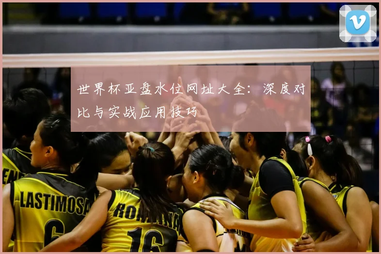 世界杯亚盘水位网址大全：深度对比与实战应用技巧
